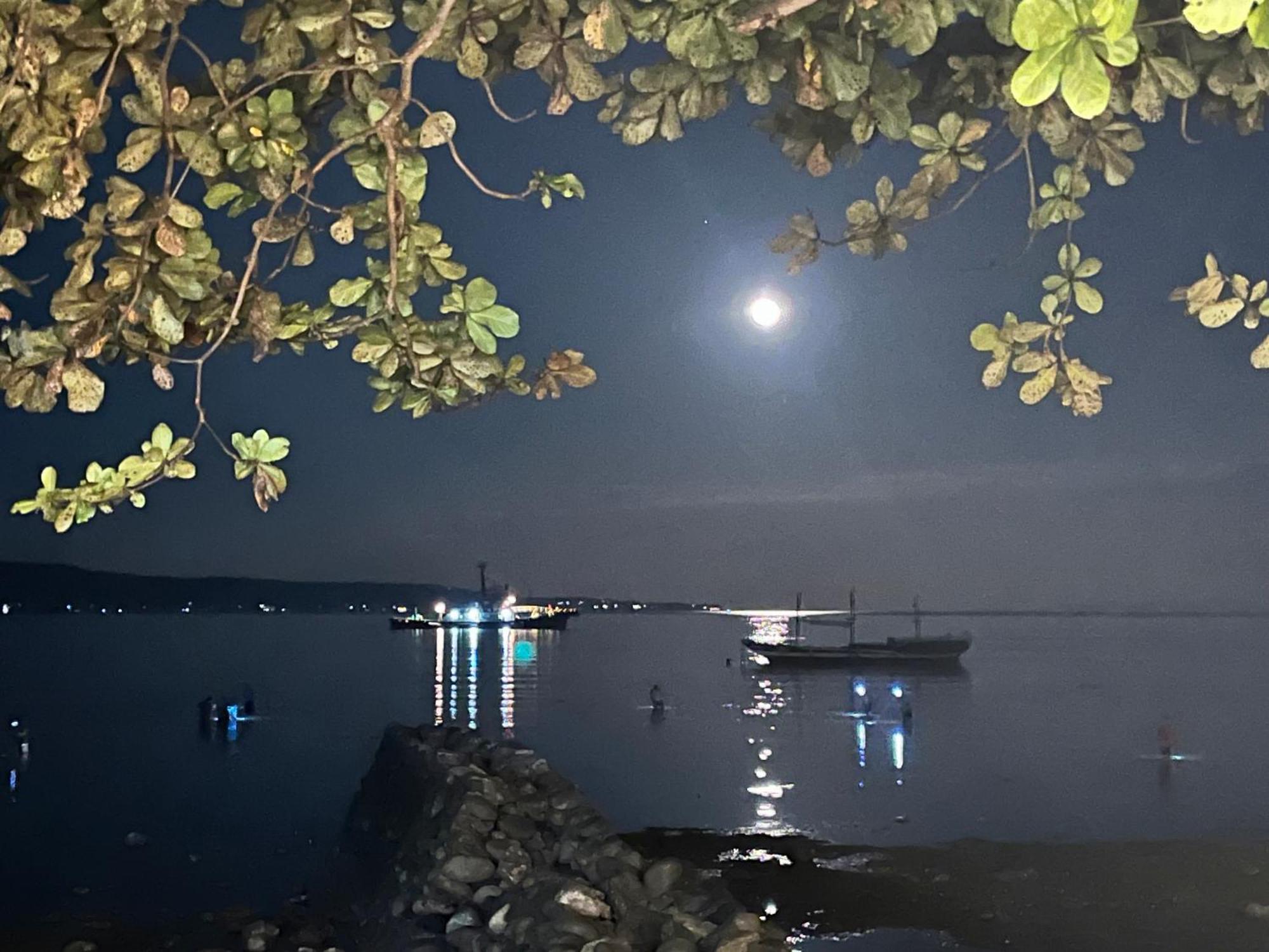Boochee Beach Tampi Экстерьер фото